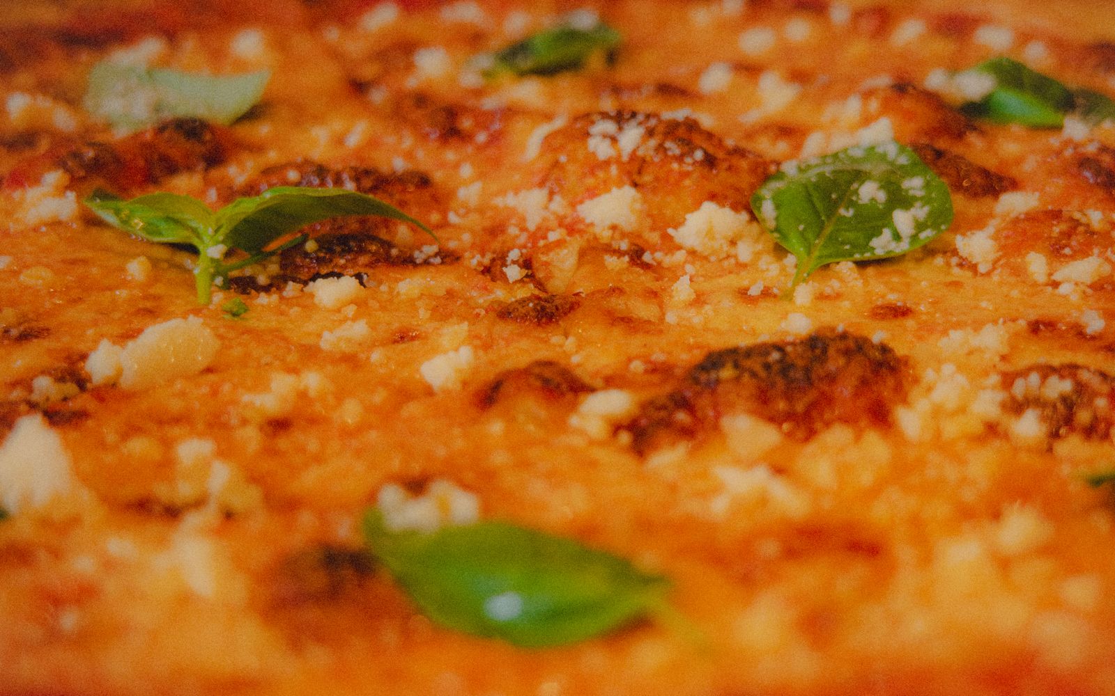 WHOLE PIE PRE-ORDers are live